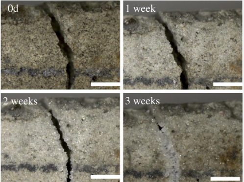 سیمان خودترمیم...